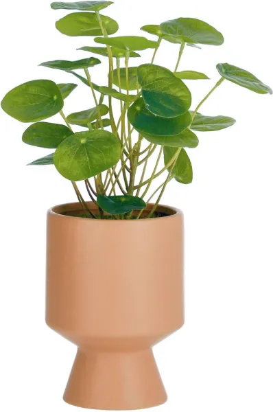 Bailey, Konstgjord växt, ljusrosa, H28x20x20 cm